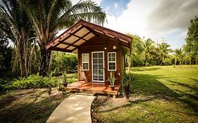 Kikiwitz Resort